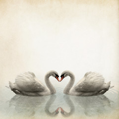 a pair of swan vintage background