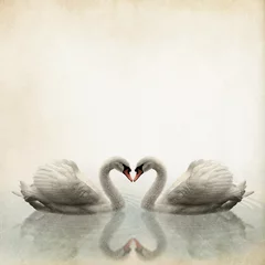 Deurstickers a pair of swan vintage background © 2jenn