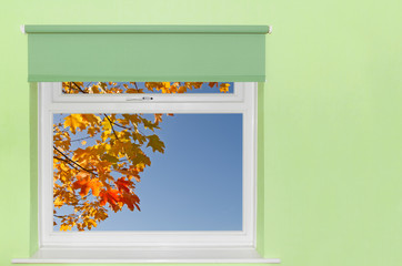 View autumn leaves and blue sky from window