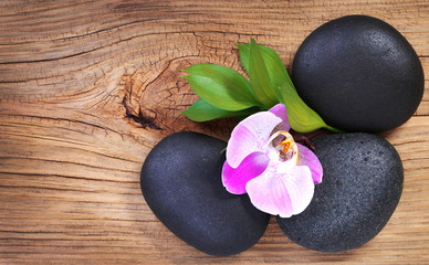 Fototapeta na wymiar Zen kamienie. Spa Stones i Pink Orchid kwiat z zielonych liści