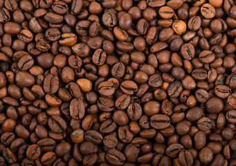 Fototapeta premium coffee beans texture