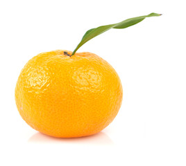 one tangerine with leaf isolated on white