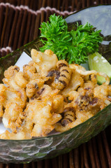 japanese cuisine. fried squid on the background