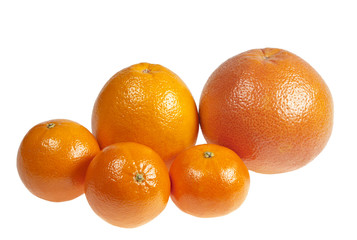 Citrus fruits on a white background