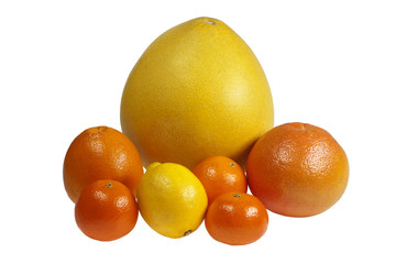 Citrus fruits on a white background