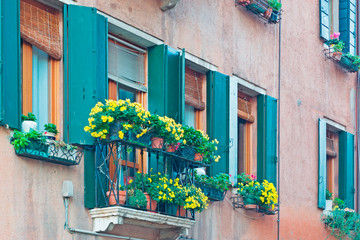 Fototapeta na wymiar green windows and yellow flowers