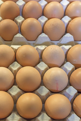Eggs in the package