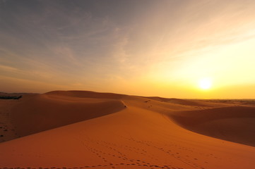 Sand Dune in Desert Landscape at Sunrise