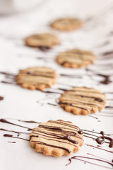 Food: Homemade chocolate covered oatmeal cookies