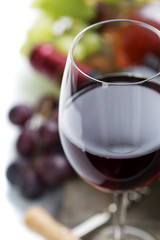 Wine and grape