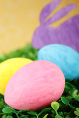 Rabbit with colorful easter eggs