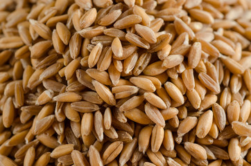 spelt, close up, texture