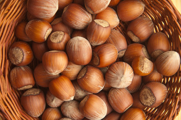 hazelnuts on a wooden table