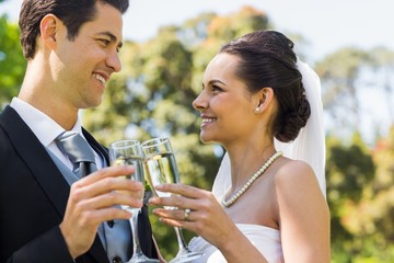 Newlywed toasting champagne flutes at park