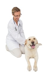 Fototapeta na wymiar Happy vet petting yellow labrador dog