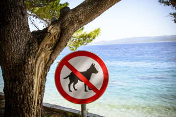 Dogs banned from the beach sign.