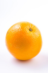 Orange fruit