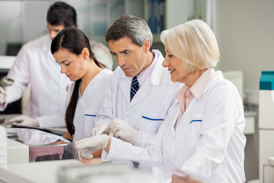 Researcher Discussing With Colleague