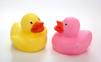 canards de bain