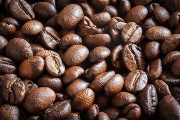 Coffee Seeds