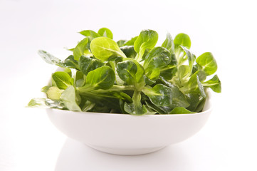 Lamb's lettuce