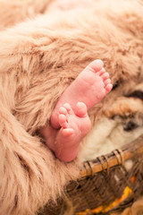 legs of a newborn baby in a fur blanket