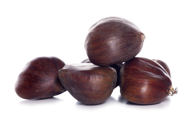 pile of chestnuts