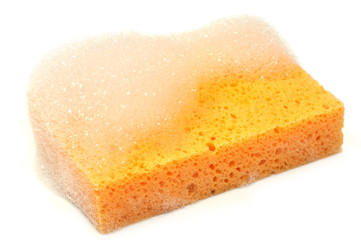 L'éponge pleine de mousse