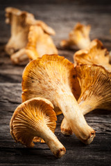 Fresh chanterelle mushrooms on a wooden table
