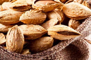 Fototapeta na wymiar Almond; group of nuts in kernel