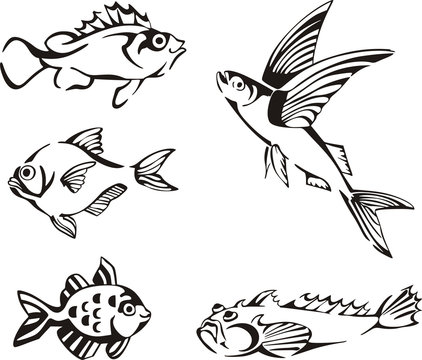 Flying Fish Vector Images – Browse 82,636 Stock Photos, Vectors, and Video