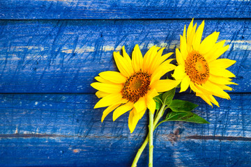 two yellow sunflowers painted fence