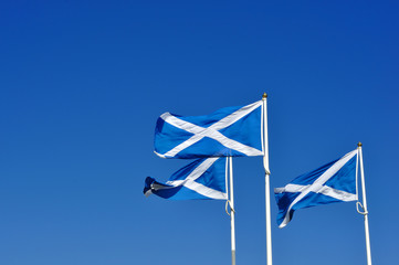 Three Scottish or saltire flags blowing in the wind - 61404484