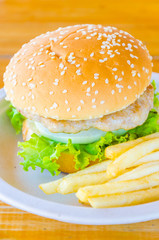 Hamburger and french fries , fast food