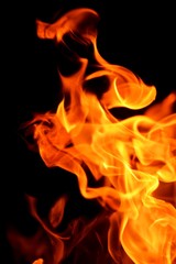 Fototapeta premium fire flame on black background