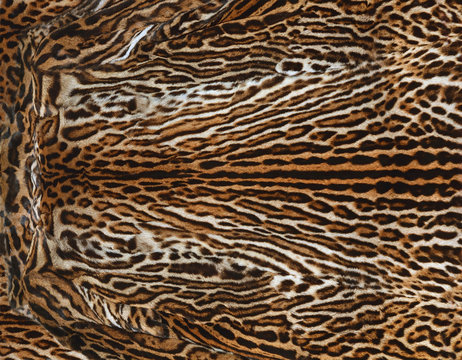 sfondo di pelliccia di leopardo