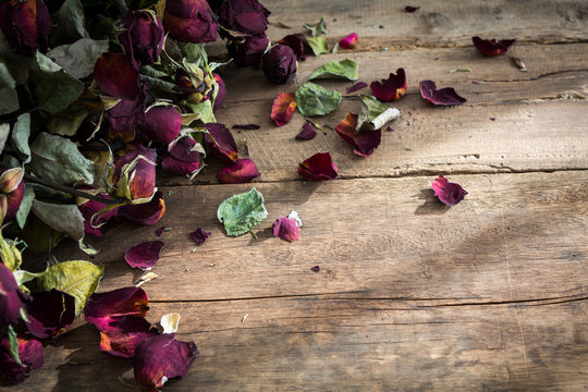 Dried rose on old wood background