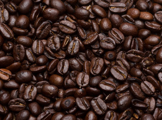 Coffee beans background