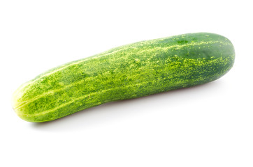 Cucumber