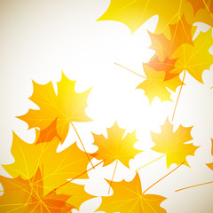 autumn background