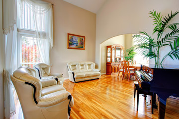 Luxury bright living room