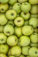 Fresh organic green apples background