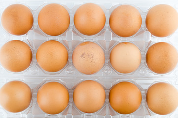 Eggs packed isolated white background