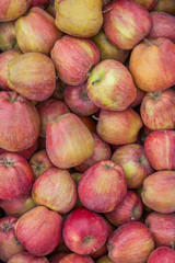 Organic red apples background