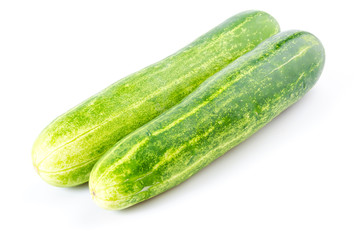 Cucumber