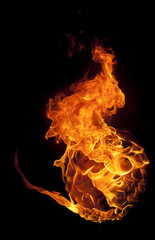 Fire flame