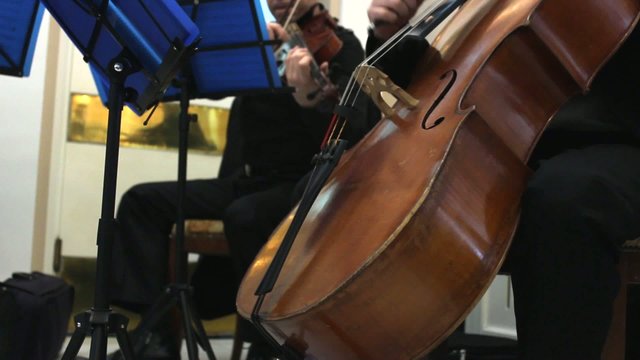 cellist in classic music