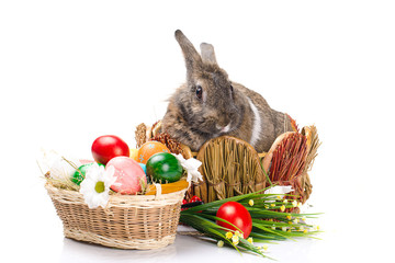 Easter bunny sitting in a baske