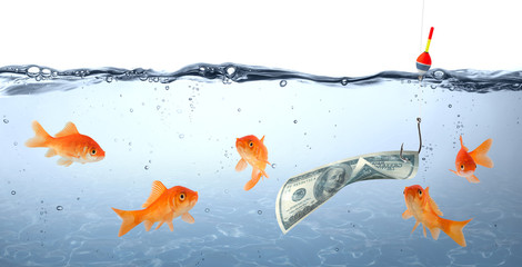 goldfish in danger - dollar as bait - concept deception - obrazy, fototapety, plakaty