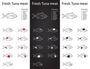 Fresh Tuna meat parts Icons for packaging and info-graphic 1